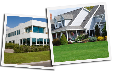 Laewn & property care